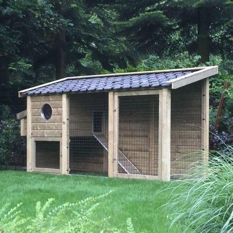 Small Backyard Chicken Coop, Reban Ayam, Small Chicken Coops, Walk In Chicken Coop, Cute Chicken Coops, Chicken Shed, Backyard Chicken Coop, Backyard Chicken Coop Plans, Diy Chicken Coop Plans