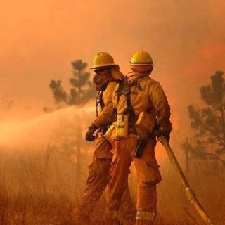 Firefighting is such an Aries profession Wildland Firefighter Gear, Hero Definition, Firefighter Life, Wildland Firefighting, Fire Sprinklers, Firefighter Paramedic, Firefighter Apparel, Firefighter Love, Wildland Fire