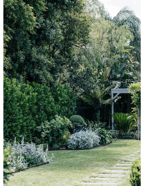 Formal Australian Garden, Melbourne Garden, Australian Garden Design, Formal Garden Design, Front Yard Decor, Evergreen Garden, Healing Garden, Australian Garden, Green Things