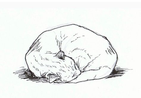 Curled Up Cat, Sleeping Drawing, Cat Pen, Sleeping Animals, Baby Quiet Book, Cnc Art, Cat Sketch, Animal Doodles, Drawing Cat