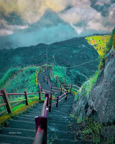 𝐒𝐫𝐢 𝐏𝐚𝐝𝐚 / 𝐀𝐝𝐚𝐦❜𝐬 𝐏𝐞𝐚𝐤 😍🙏 🌷🙏 Sri Pada, also known as Adam’s Peak, is a 2,243m (7,359 ft) mountain in the central highland region of Sri Lanka. Popular for Sri Lankans and tourists alike. The typical climb is started in the middle of the night so you can reach the peak for a breathtaking adams peak sunrise. 📸 DM For Credit Or Removal, Credit Always Goes to respective owners 🌐 Website: www.blueskygalletaxis.com 📧 Email: tours@blueskygalletaxis.com 📱 Whatsapp: +94764326808 📸 Follow us on ... Adams Peak Sri Lanka, Adams Peak, Adam's Peak, Middle Of The Night, The Peak, Sri Lanka, Climbing, Travel, Quick Saves