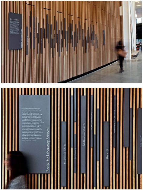 Donor Wall Design, Donor Recognition Wall, Donor Wall, Donor Recognition, Wayfinding Signs, Wayfinding Design, Signage System, Environmental Graphic Design, Logo Wall