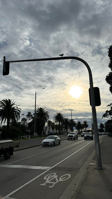 St Kilda Beach: what to do at Melbourne’s most famous beach - Tofu V Travels Melbourne Aesthetic, St Kilda Beach, St Kilda Melbourne, Famous Beaches, Cool Breeze, St Kilda, Australia Travel, Great View, The Cool