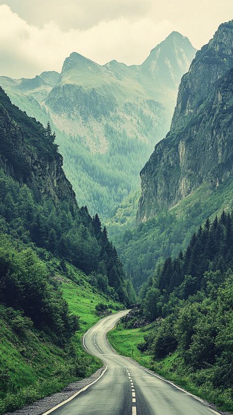 THE ROAD TO FREEDOM ACCOMPANYING THE MAGNIFICENCE OF GREEN NATURE Wall Papers, Art Idea, On The Road Again, Green Nature, Beautiful Views, Good Vibes, The Road, Places To Go, Natural Beauty