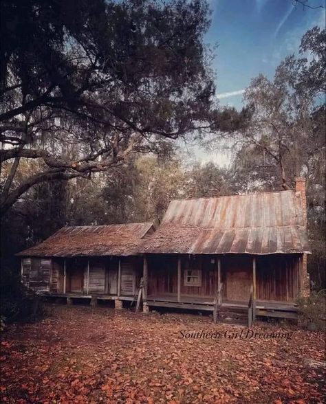 We love florida | In Florida, the term "cracker" is not an insult; | Facebook Florida Cracker, Cracker House, Florida History, Altered Photo, Spanish Moss, Southern Girl, Tiny Living, Old West, Old House