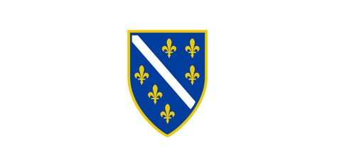 Bosnian flag Bosnian Aesthetic, Bosnian Flag, Bosnia Flag, Herzegovina Flag, Patriotic Symbols, Bosna I Hercegovina, Flag Tattoo, National Flags, Modern Library