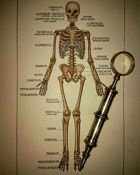 Antique 1897 weiss of london silver and brass syringe upon a vintage medical book Old Medical Aesthetic, 1800s Medicine, Lobotomy Core, Mortuary Science, Manipulative Men, Slayer Aesthetic, Old Teddy Bears, Medical Instruments, Medicine Woman