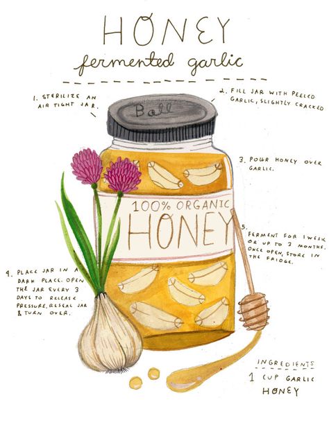 Honey Fermented Garlic, Madison Safer, Gardeners Journal, Homestead Pantry, Fermented Garlic, Magic Corner, Kitchen Witch Recipes, Herbal Recipes, Herbal Apothecary