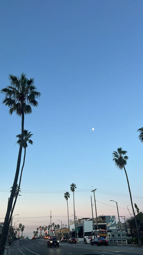 daily routine, walking, sunrise, morning routine, morning aesthetic, los angeles aesthetic, palm trees, california Aesthetic Los Angeles, Angeles Aesthetic, Los Angeles Aesthetic, Morning Aesthetic, Morning Walks, Home Design Floor Plans, Los Angles, Floor Plan Design, Travel Aesthetic