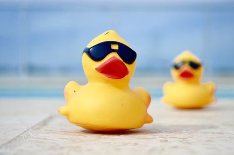 Now in its 16th year, the Upstate’s popular Reedy River Duck Derby will be an online event on Saturday, July 11, at 2:30 p.m. Rubber Duck Race, Duck Race, July 11, Rubber Duck, Plan A, Ducks, Derby, How To Plan