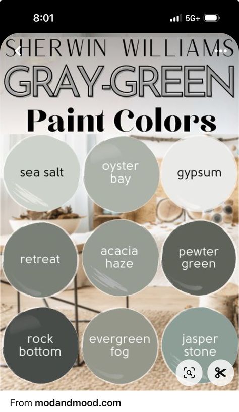 Modern Farmhouse Color Palette Sherwin Williams, French Farmhouse Paint Colors, 2025 Color Trends Home Interior, Kitchen Accent Colors, Colors That Compliment Grey, Whole Home Color Palette, Farmhouse Paint Colors, Paint Color Inspiration, House Color Palettes