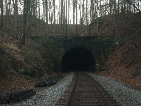 Northeastern Gothic Aesthetic, Pacific Northwest Gothic Aesthetic, Woods Creepy Aesthetic, Scary Woods Aesthetic, Midwest Gothic Tumblr, Midwest Emo, American Gothic, Southern Gothic, Dark Forest