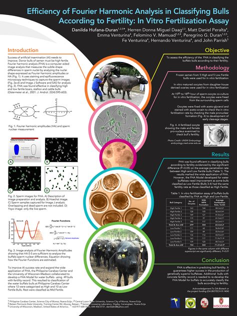 Research Poster Design Layout Ideas, Research Poster Design Layout, Scientific Poster Template Powerpoint, Powerpoint Poster Template, Scientific Poster Design, Academic Poster, Poster Presentation, Conference Poster, Scientific Poster