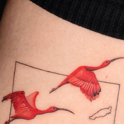 Choi Yun on Instagram: "🇹🇹  Trinidad Tobago + Scarlet ibis  🇺🇸 NYC Oct~ @bangbangnyc  📩Appts@bangbangforever.com  #nyctattoo #newyorktattoo #linetattoo #simpletattoo #customdesign #customdesigntattoo #colortattoo #birdtattoo #새타투 #컬러타투 #라인타투" Trinidad And Tobago Tattoo, Scarlet Ibis Tattoo, Ibis Bird Tattoo, Trinidad Tattoo Ideas, Ibis Tattoo, Trinidad Tattoo, Genuine Tattoo, Scarlet Ibis, New York Tattoo