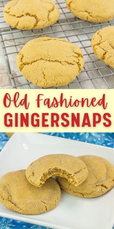 Get ready for the holidays with these classic old fashioned ginger snap cookies! Featuring a delightful blend of cinnamon, ginger, cloves, and nutmeg, these cookies offer a crispy, sugary exterior and a chewy, spiced center. Perfect for festive gatherings, these treats are not only delicious but also freeze beautifully, making them an ideal make-ahead option. Bake a batch early and have them ready for any holiday party or cozy get-together. Easy Dinner Recipes For Beginners, Dinner Recipes For Beginners, Classic Old Fashioned, Cookie Sandwich, Weeknight Dinner Recipes, Cocoa Cookies, Cookie Spread, 5 Ingredient Recipes, Simple Dessert