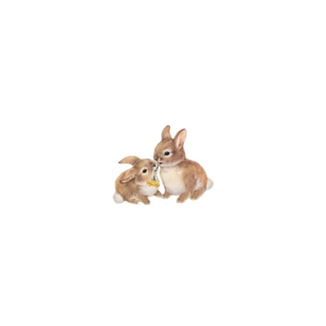 Small Bunnies, Bunnies Cute, Cute Kiss, Magazine Collage, Screen Icon, Iphone Case Stickers, Nature Stickers, Easter Inspiration, Iphone Homescreen Wallpaper