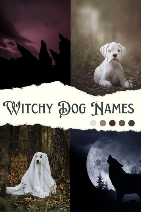 witchy dog names Goth Dog Names, Witchy Pet Names, Fantasy Pet Names, Witchy Dog Names, Female Dog Names Unique List, Aesthetic Pet Names, Male Dog Names List, Dark Female Names, Mystic Names