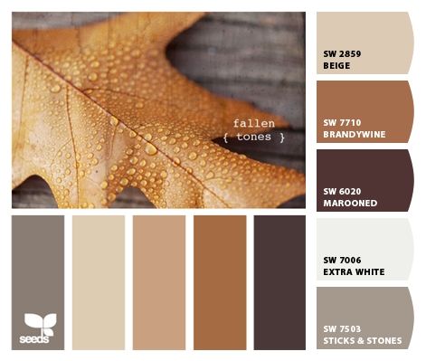 Paint colors from Chip It! by Sherwin-Williams.  For the upstairs guest room Baby Mode, Smart Tiles, Room Color Schemes, Color Palate, Design Seeds, Brown Living Room, Cat Air, Natural Home Decor, Cool Ideas