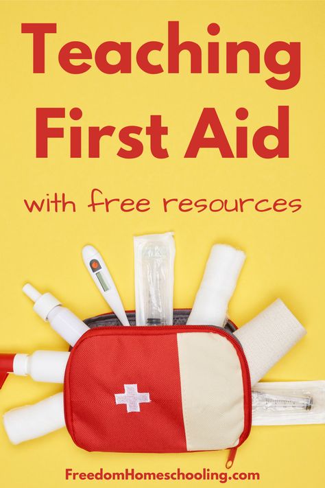 Here's how to teach first aid in your homeschool, family, or classroom using free resources and curriculum found online. First Aid Games For Scouts, Homeschool Electives, First Aid For Kids, Homeschool Family, First Aid Tips, Basic First Aid, Primary Ideas, Kids Worksheets, Safety And First Aid