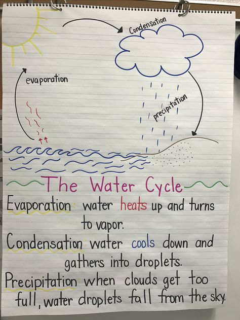 The water cycle anchor chart. Water Cycle For Preschoolers, Water Life Cycle, Water Notes, Water Cycle Experiments For Kids, Water Cycle Preschool, The Water Cycle Project, Water Cycle Activity For Kids, Water Cycle Art Project, Water Cycle Craft Preschool