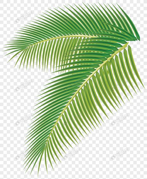 Leaf Png, Png Free Download, Karakter Disney, Digital Media Marketing, Leaf Images, Vi Design, Image File Formats, Big Leaves, Best Background Images