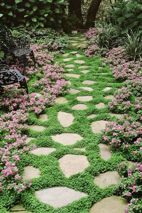 Ground Cover Flowers Drawf Impatients Ground Cover Flowers, Perennial Ground Cover, French Country Garden, Garden Stepping Stones, Stone Path, Ground Cover Plants, Garden Pathway, Perfect Plants, Perennial Garden