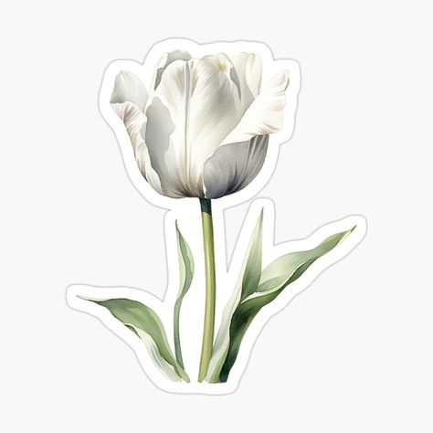 Get my art printed on awesome products. Support me at Redbubble #RBandME: https://www.redbubble.com/i/sticker/White-Tulip-Spring-Flower-by-My-Magic-World/148990930.JCQM3?asc=u Coral Peony, Coral Peonies, Green Sticker, Tumblr Stickers, Watercolor Stickers, Flower Watercolor, Spring Tulips, White Tulips, Decorate Notebook