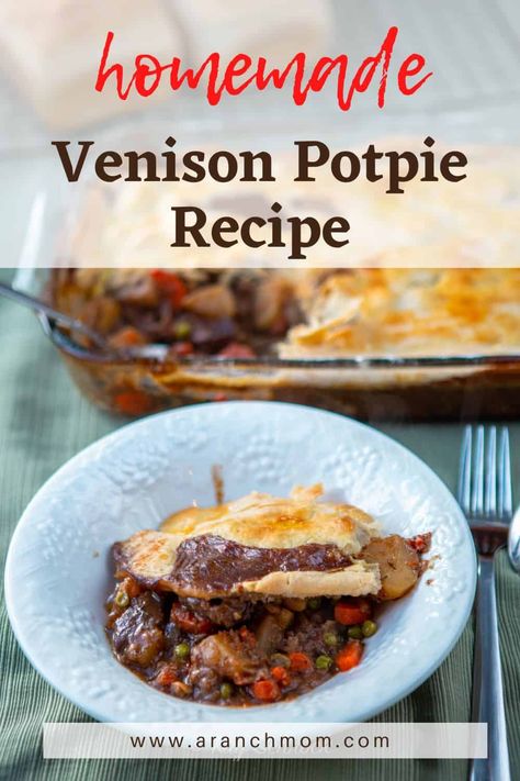 Venison Pot Pie Recipe, Venison Pie Recipes, Venison Pot Pie, Venison Pie, Potpie Recipe, Venison Meat, Venison Stew, Game Meat, Tender Meat