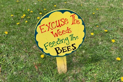 No Mow Grass, Root Growth, Door County, The Village, Memorial Day, Egg, Bee