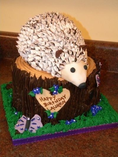 African Pygmy Hedgehog By lilmansmum on CakeCentral.com Hedgehog Party Ideas, Woodland Birthday Theme, Hedgehog Cookies, Hedgehog Party, Woodland Animals Party, Hedgehog Cake, 7th Birthday Cakes, Charlotte Cake, Pygmy Hedgehog