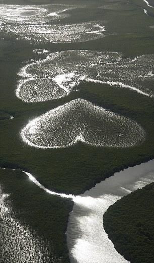 Hearts In Nature, Heart In Nature, I Love Heart, Heart Images, New Caledonia, Happy Heart, With All My Heart, Love Island, Beautiful Heart