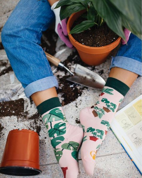 Socks Photography Picture Ideas, Flowers In Socks Photography, Mosmatched Sock, Gardening Socks, Socks Photography, Mismatched Socks, Womens Socks, Socks Men, Men Socks