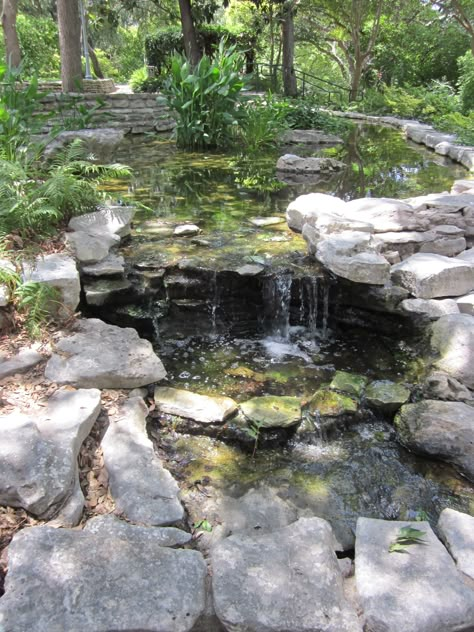 River Water Feature, California Rock Garden, Dragonfly Pond, Small Water Gardens, Aquascape Design, Garden Water Features, Garden Pond Design, Garden Water Feature, Garden Ponds