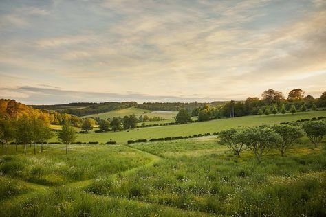 A rewilded garden with unbroken views of the Chilterns landscape Landscape View Nature, Garden Landscape Photography, Background Garden Nature, Garden With A View, Environment Landscape Photography, English Countryside Landscape, Simple Landscape Photography, Landscapes Reference, Nature Background Landscape