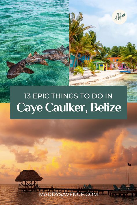 Best Belize Beaches, Caye Caulker Belize, Belize Travel Guide, Belize Beach, Caye Caulker, Belize Vacations, Summer Vacation Spots, Belize Travel, Dream Vacations Destinations