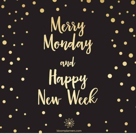 Merry Monday...* Quotes Funny Life, Monday Humor Quotes, Merry Monday, Monday Morning Quotes, Monday Images, Monday Motivation Quotes, Weekday Quotes, Monday Humor, Happy New Week