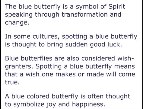 Blue Butterfly Spiritual Meaning, Blue Butterfly Meaning, Butterfly Spiritual Meaning, Butterfly Spiritual, Meaning Of Blue, Butterfly Meaning, Spiritual Meaning, Blue Butterfly, Astrology