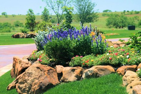 South Texas Landscaping, Southern Flowers, Full Sun Landscaping, Blond Curls, Xeriscape Front Yard, Native Plant Landscape, Texas Landscaping, Xeriscape Landscaping, Memory Garden