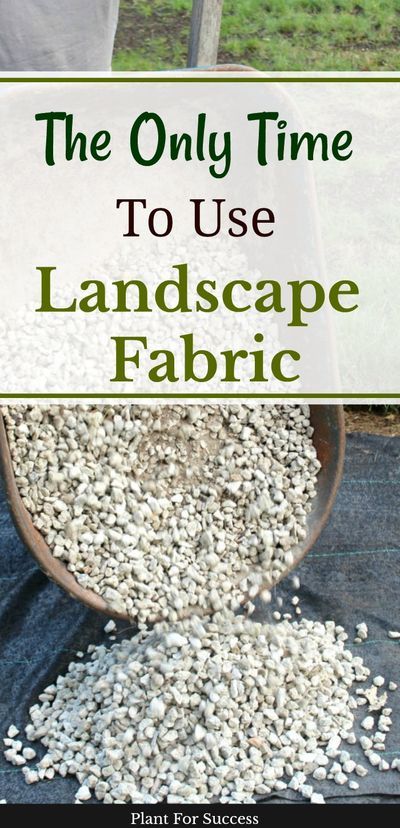 Fabric Landscape, Rock Mulch, Trees Landscaping, Landscaping Rock, Landscaping Around Trees, Landscaping With Large Rocks Front Yard, Landscaping With Large Rocks Natural, Mulch Landscaping, Landscape Rock