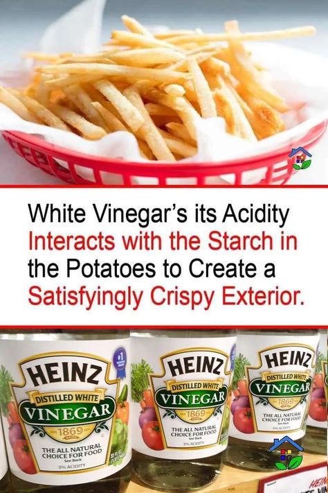 White Vinegar: Your Key to Crispy French Fries Salt And Vinegar French Fries, Crispy Air Fryer French Fries, Best Potatoes For French Fries, Air Fry French Fries Fresh, Crispy Oven Fries Cornstarch, Homemade French Fries In Deep Fryer, Crispy French Fries Recipe, Homemade Fried French Fries, How To Make Crispy French Fries