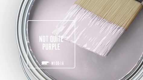 NOT QUITE PURPLE M100-1A | Behr Paint Colors Behr Disney Paint Colors, Light Purple Paint, Purple Paint Colors, Behr Paint Colors, Behr Paint, Purple Paint, Wall Paint, Light Purple, Custom Homes