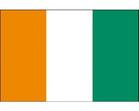 Ivory Coast (Cote D'Ivoire) Flag Cote D'ivoire Flag, Ivory Coast Flag, Patriotic Symbols, West African Countries, Africa Flag, African Ancestry, Christmas Eve Traditions, National Flags, African Flag