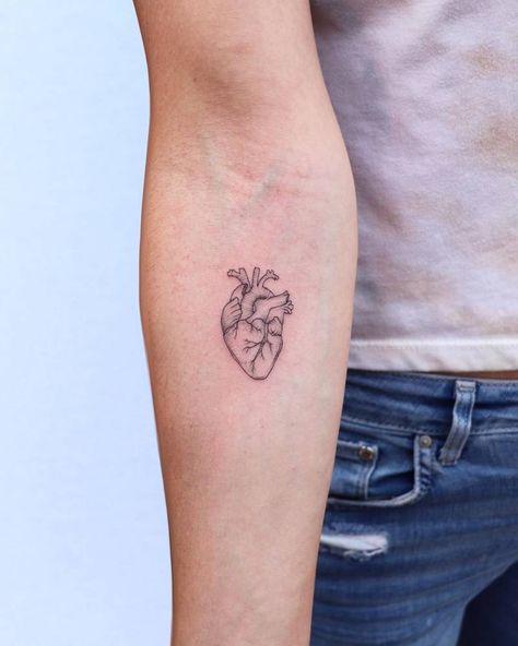 Arm Line Tattoo, Heart Line Tattoo, Real Heart Tattoos, Human Heart Tattoo, Realistic Heart Tattoo, Realistic Heart, Anatomical Heart Tattoo, Heart Line, Harry Styles Tattoos