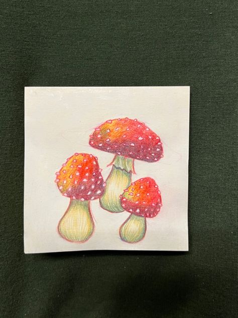 Color Pencil Mushrooms, Mushroom Colored Pencil Drawing, Colorful Mushrooms, Fly Agaric, Crayon Drawings, Mushroom Drawing, Pencil Crayon, Sketchbook Ideas, Colored Pencil Drawing