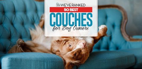 Best Couch For Dog Owners, Best Fabric For Sofa, Pet Friendly Living Room, Best Couches, Dog Living Room, Dog Friendly Furniture, Couch Material, Pet Friendly Furniture, Microfiber Couch