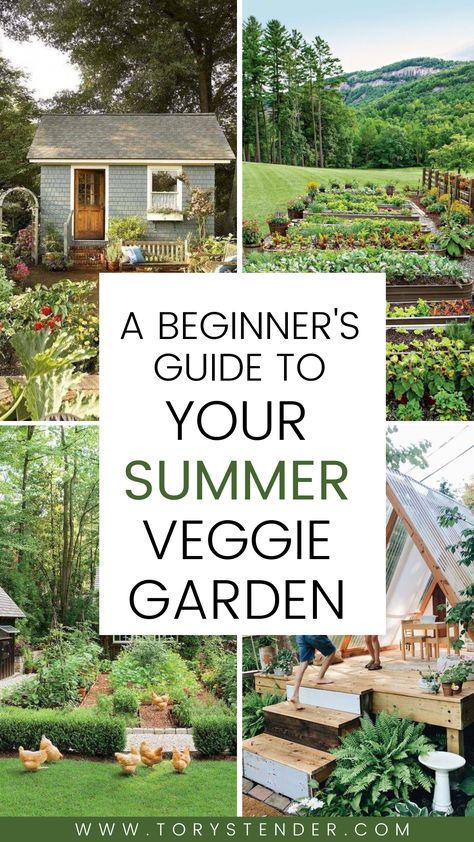 A beginner's guide to your summer veggie garden Outdoor Veggie Garden Ideas, Kitchen Garden For Beginners, Spring Vegetable Garden Layout, Beginning Vegetable Garden, Summer Veggie Garden, Backyard Food Garden Design, Diy Garden Layout Ideas, Summer Vegetable Garden Layout, Planning A Vegetable Garden Layout