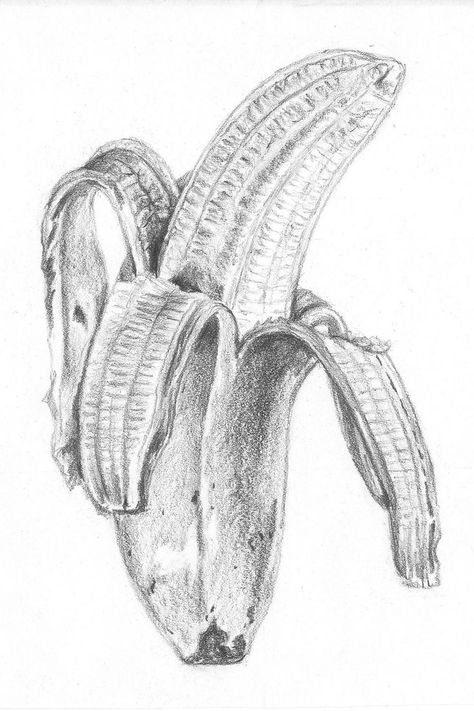 Banana Sketch, Peeled Banana, Banana Painting, Rendering Drawing, Fruit Sketch, Fruit Art Drawings, Warm Scarves, Graphite Art, A Level Art Sketchbook