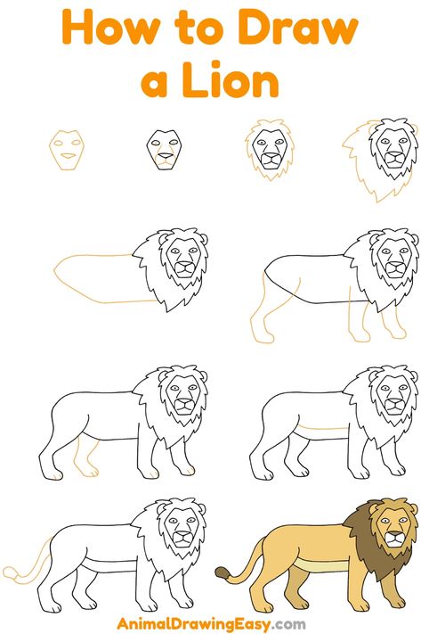 How to Draw a Lion Step by Step #LionDrawing #HowtoDrawaLion #LionDrawings #StepbyStepLionDrawing #EasyDrawings #EasyDraw #DrawingTutorials #LionArt #LionSketch #LionSimpleDrawing How To Draw Safari Animals, How To Draw A Lion Step By Step, How To Draw Lion, Lion Drawing Step By Step, How To Draw A Lion, Simple Lion Drawing, Lion Drawing Easy, Scary Lion, Lion Drawing Simple