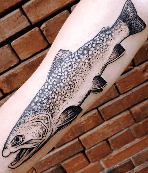 Lake Trout Tattoo, Brooke Trout Tattoo, Cutthroat Trout Tattoo, Steelhead Tattoo, Trout Tattoos For Men, Trout Tattoo Design, Appalachia Tattoo, Brook Trout Tattoo, Sierra Tattoo