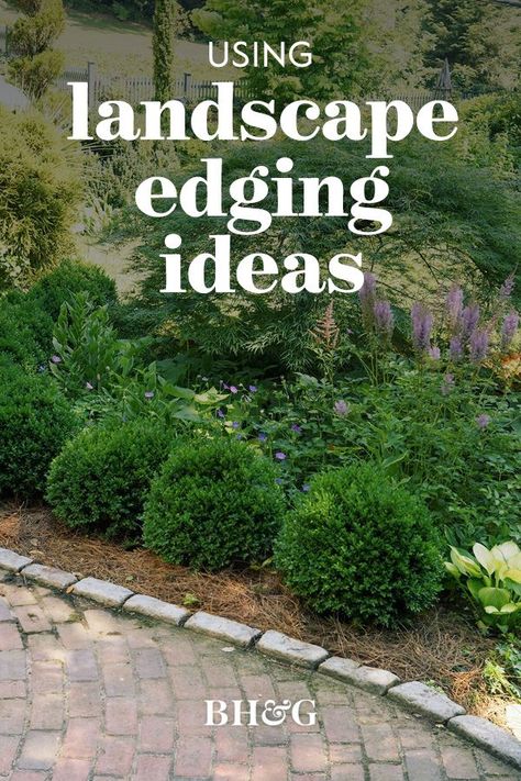 Landscape Bed Edging Ideas, Shrub Border Ideas, Plants Along Fence Line, Garden Edges And Borders, Edgers Landscape, Fence Border Landscaping, Landscape Edging Ideas, Landscape Boarders, Modern Planting